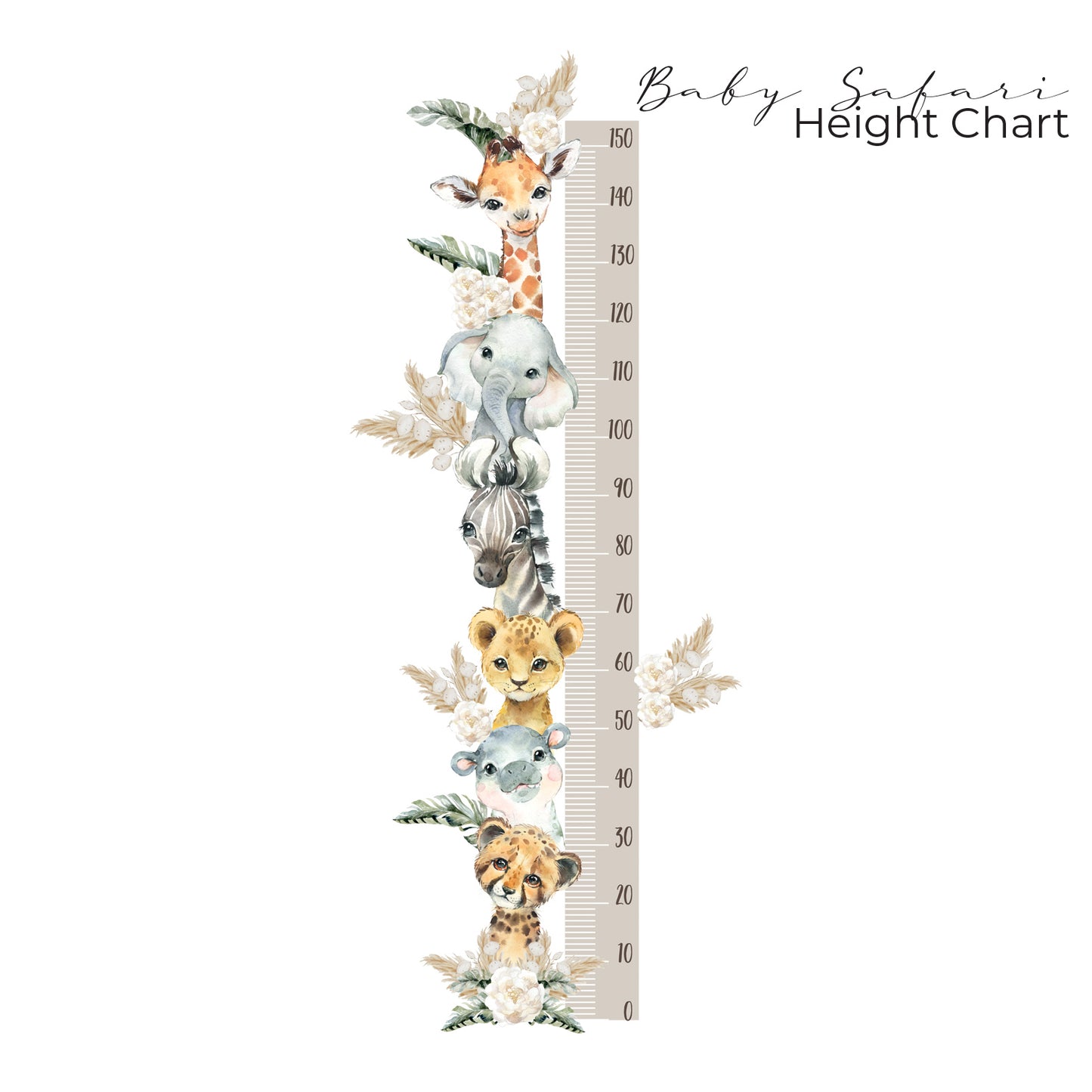 Baby Safari Height Chart